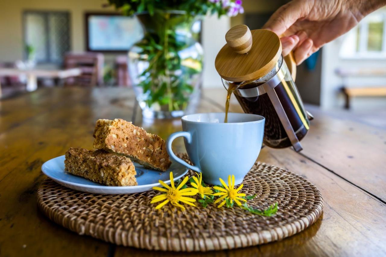 Ngoye Lodge Mtunzini Zewnętrze zdjęcie