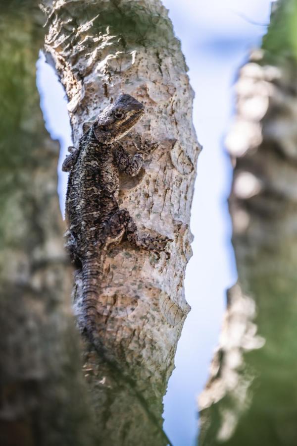 Ngoye Lodge Mtunzini Zewnętrze zdjęcie