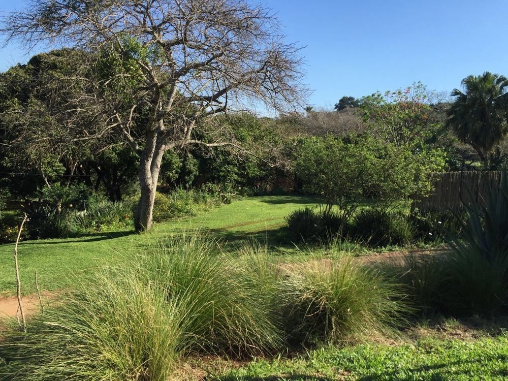 Ngoye Lodge Mtunzini Zewnętrze zdjęcie